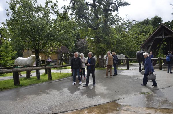 Sortie de la MICHAUDIERE, du 18 juin 2024.