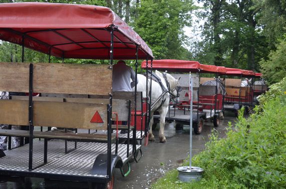 Sortie de la MICHAUDIERE, du 18 juin 2024.